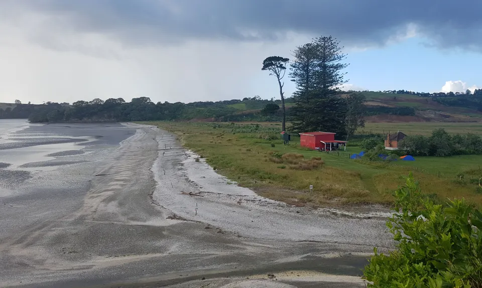 Okura Bush, Auckland