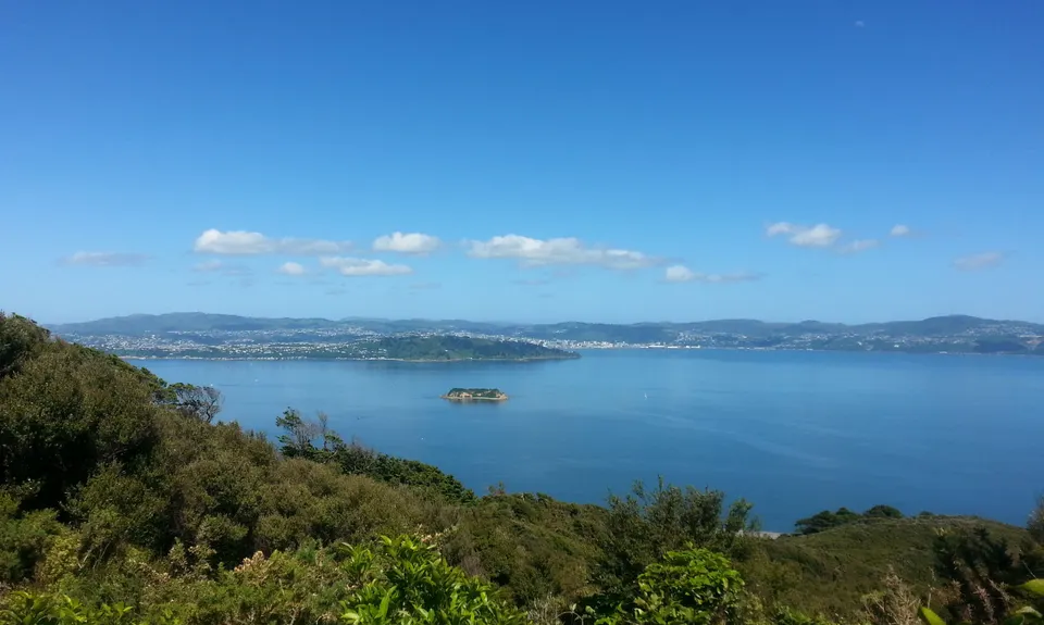 Eastbourne Ridge Loop, Wellington