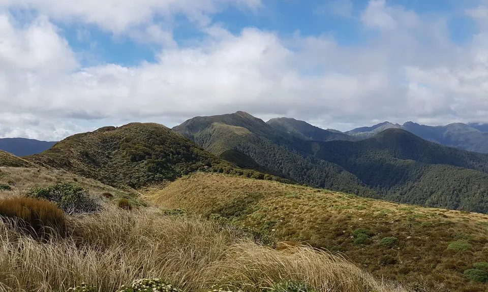 South Main Range Loop , Wellington
