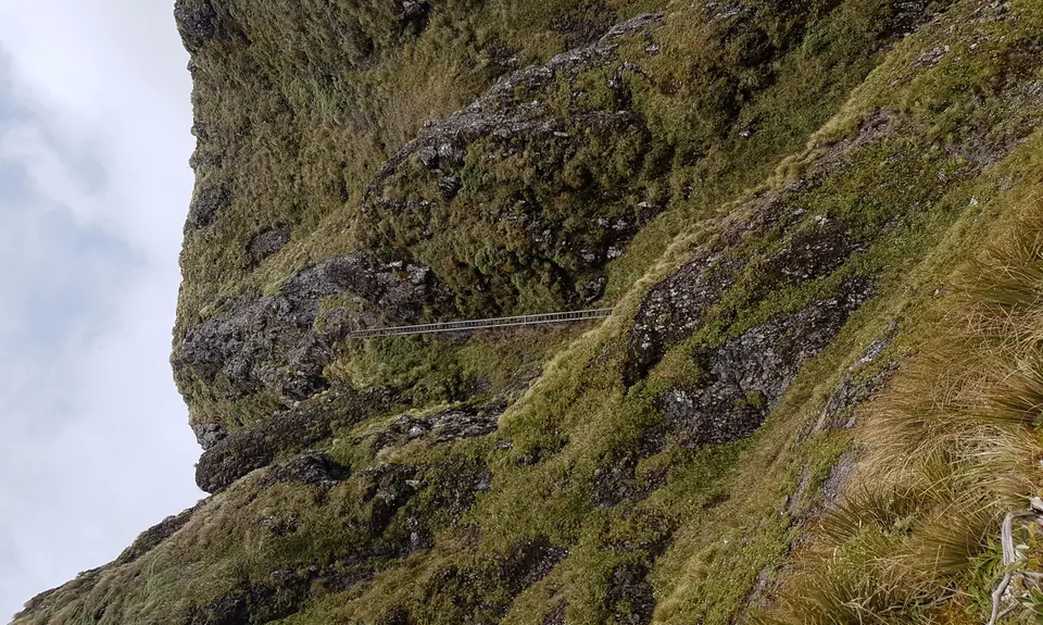 South Main Range Loop , Wellington