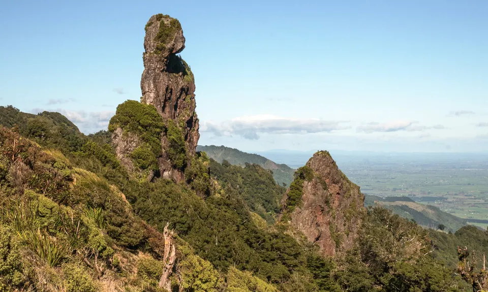 Kaimai Ridgeway, Waikato