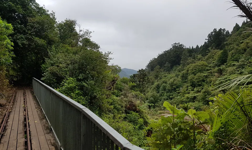 Cascade Kauri V2, Auckland