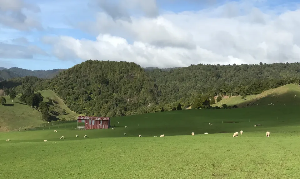 Ohinemuri to Waitawheta, Waikato