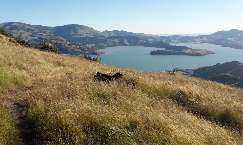Mt Pleasant Trig, Canterbury