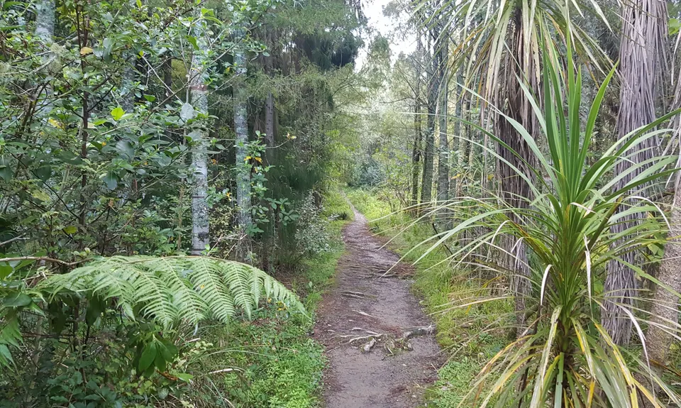 Eskdale Outer Loopypop, Auckland