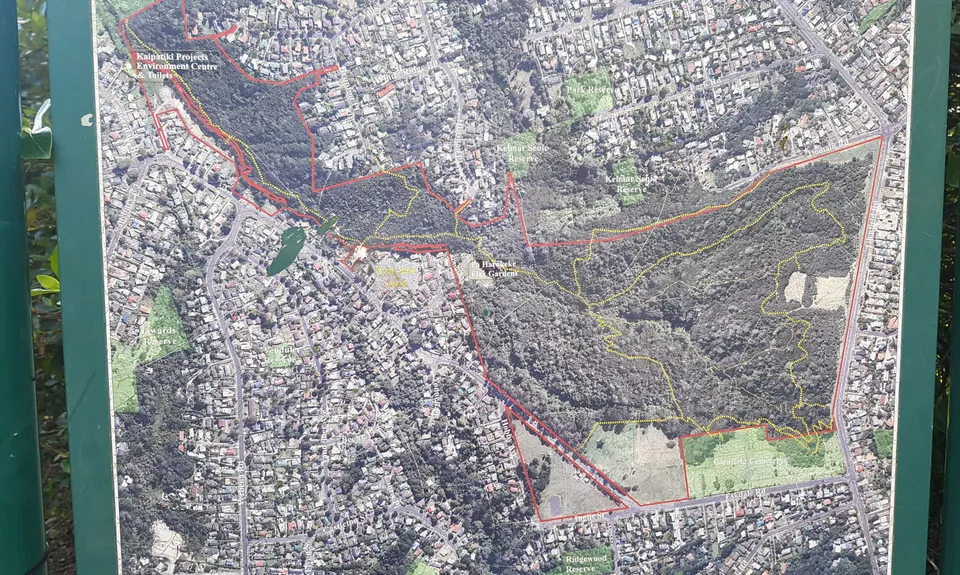 Eskdale Outer Loopypop, Auckland