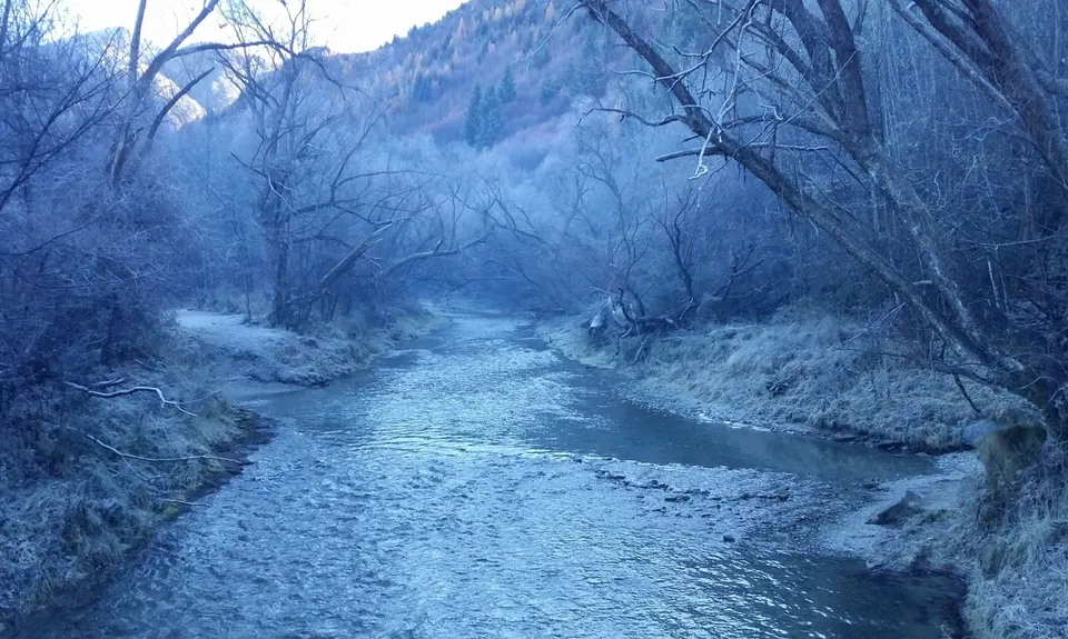 Miners Trail, Otago