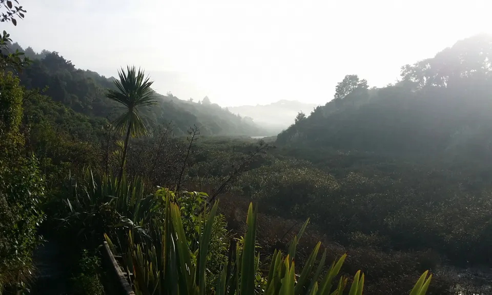 Mangemangeroa Track, Auckland