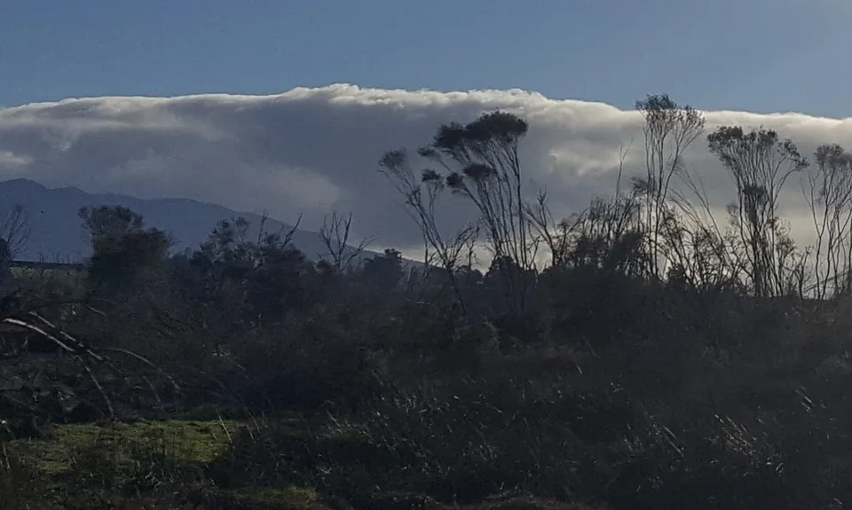 Lake Ngaroto, Waikato