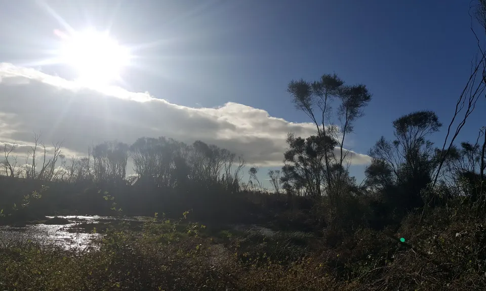 Lake Ngaroto, Waikato