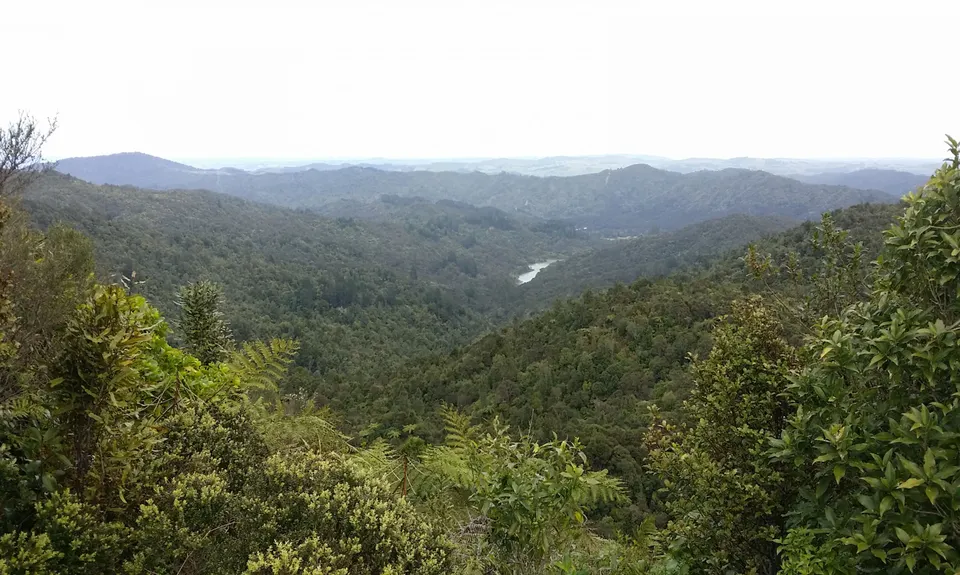 Ernie's loop, Auckland