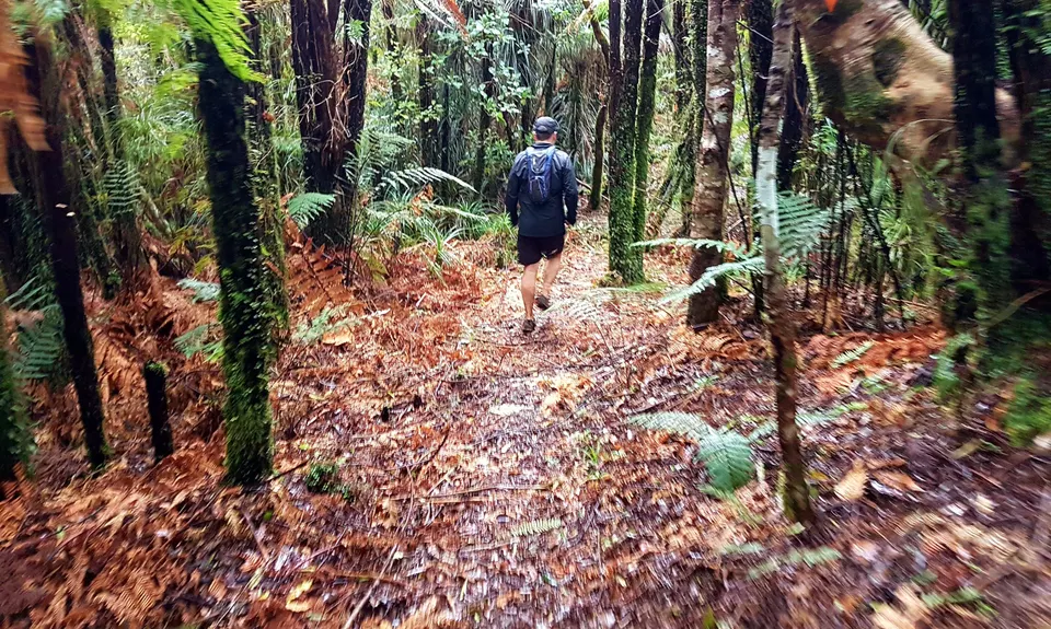 Hunua Heaven, Auckland