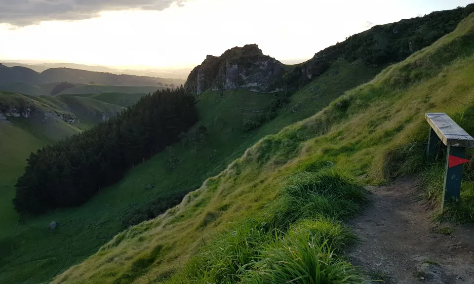 Te Mata Peak Giant Track, Hawkes Bay