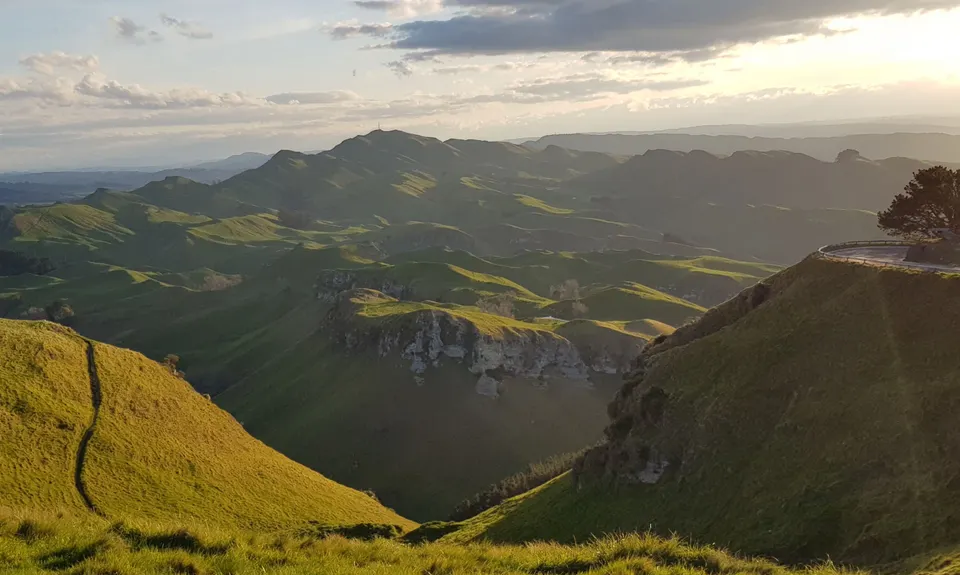 Te Mata Peak Giant Track, Hawkes Bay