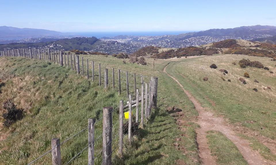 Skyline - Mt Kaukau, Wellington
