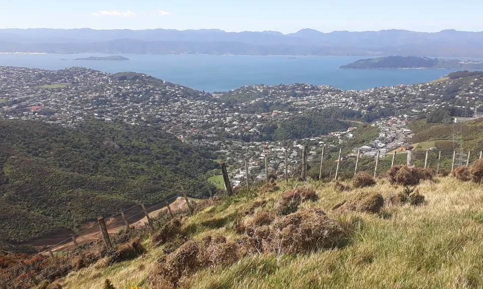 Skyline - Mt Kaukau, Wellington
