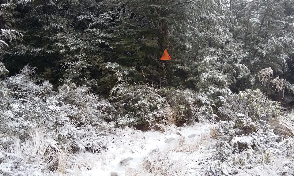 Mt Thomas Grunt, Canterbury