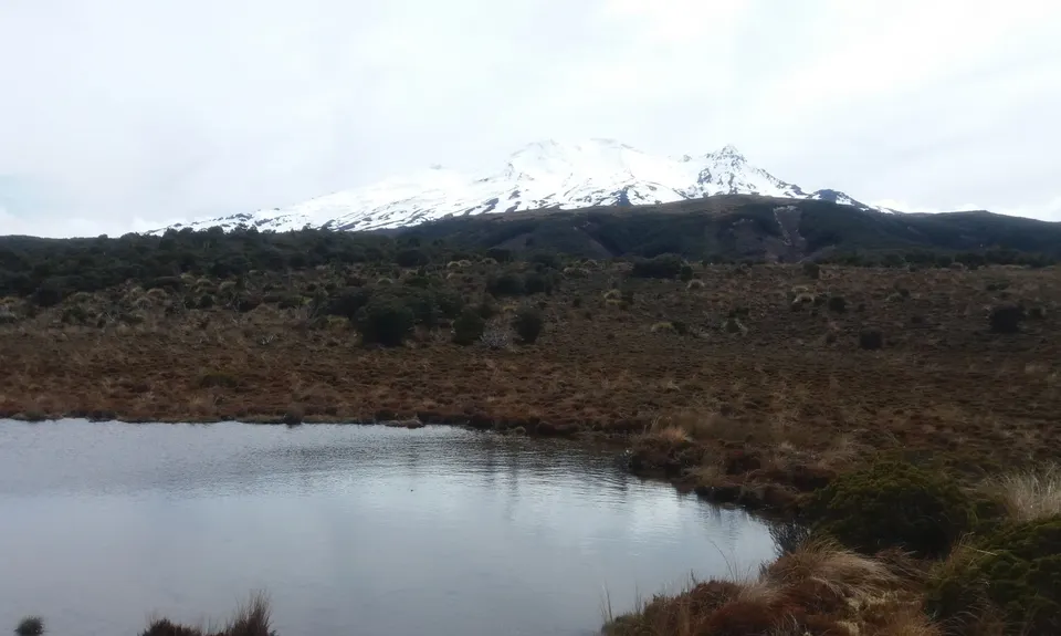 Blyth Hut and Beyond , Manawatu - Wanganui