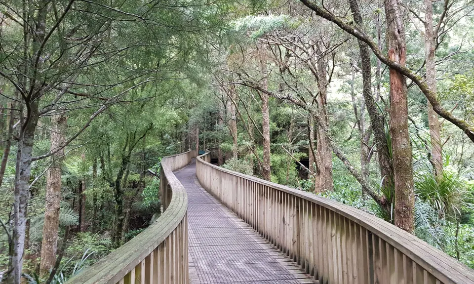 Town Basin, Whangarei Falls & Parihaka , Northland