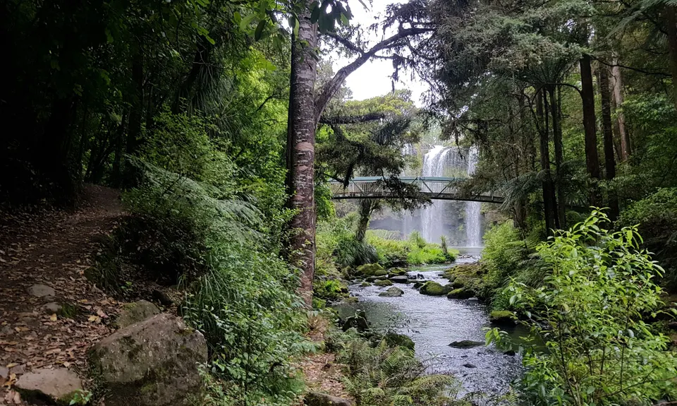 Town Basin, Whangarei Falls & Parihaka , Northland