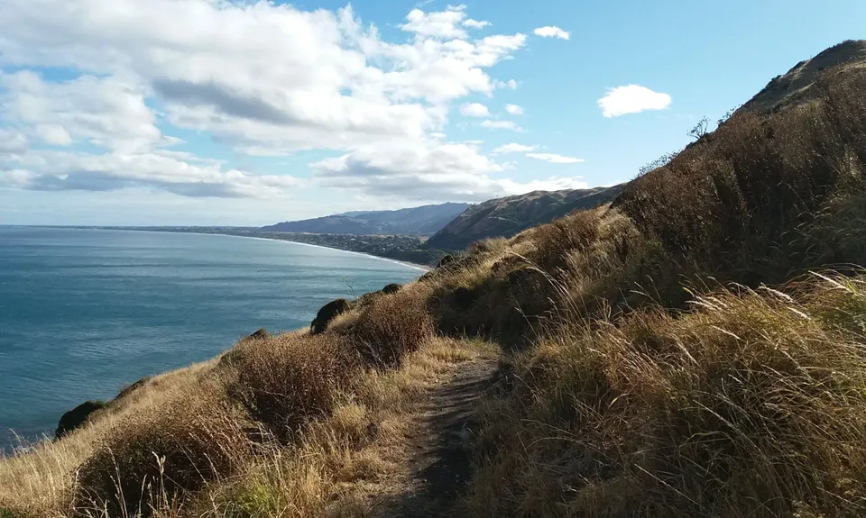 Escarpment Track, Wellington
