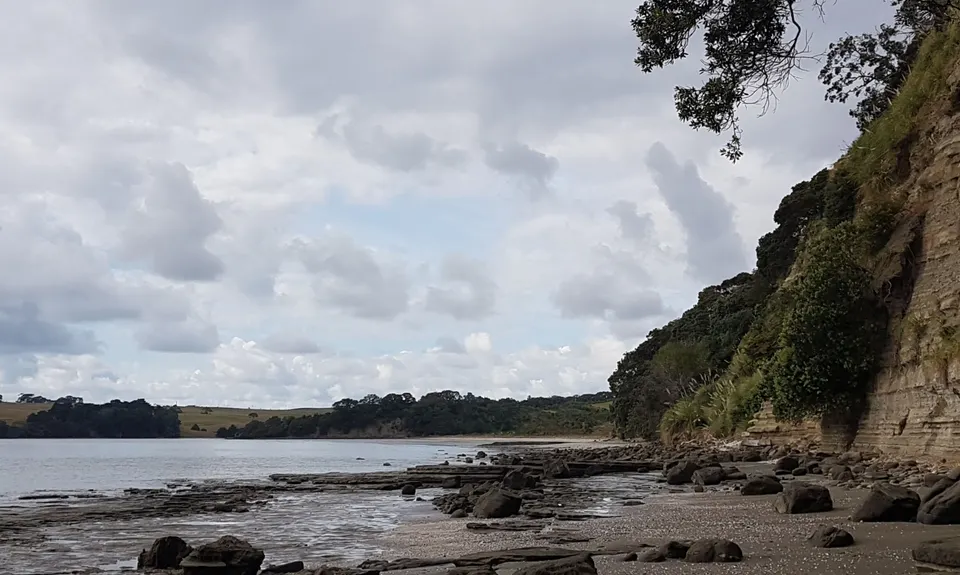 Okura Bush, Auckland