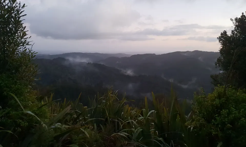 Matakana to Dome Valley Return, Auckland