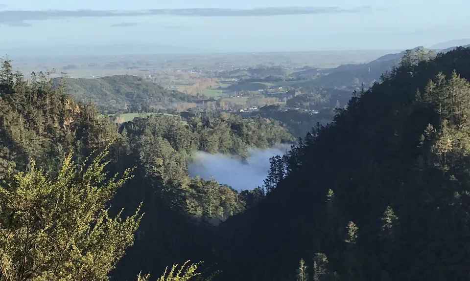 Karangahake Gold, Waikato