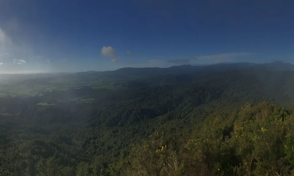 Karangahake Gold, Waikato