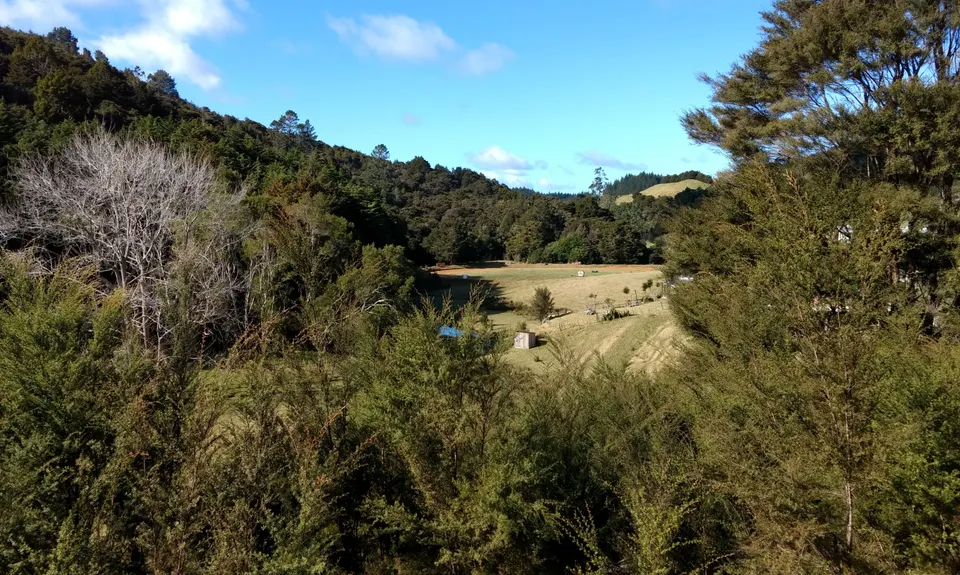 Old Coach, Northland