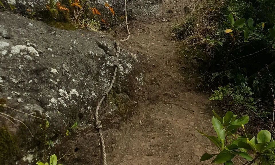 Te Rua Manga (The Needle)