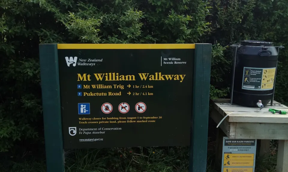 Mt William Wacky Walkway, Auckland