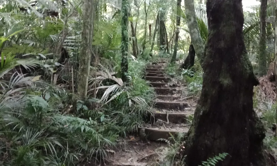 Mt William Wacky Walkway, Auckland