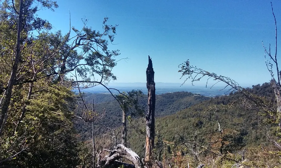 Mt Oxford - Wharfedale Track, Canterbury