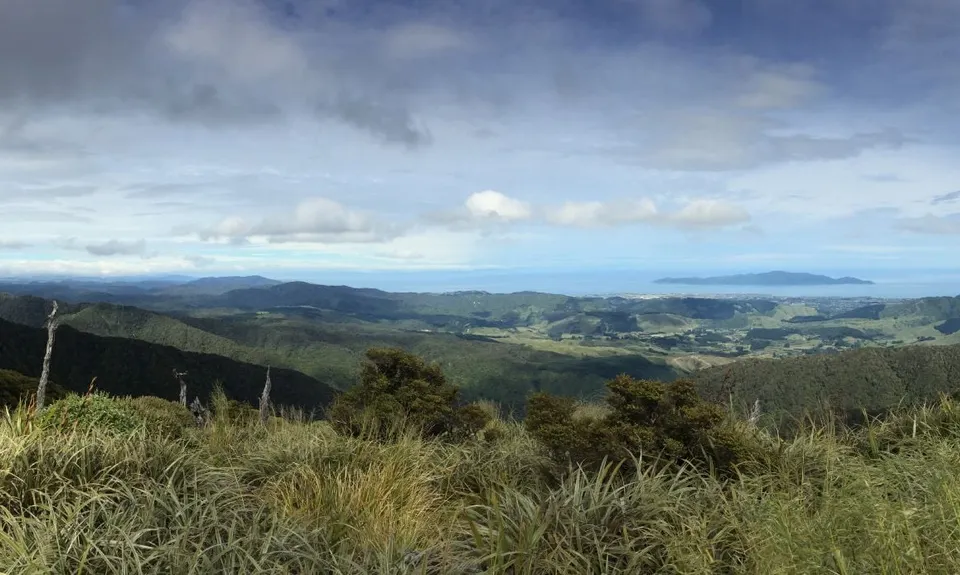 Kapakapanui Loop, Wellington