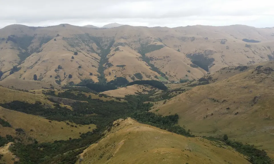A Diamond in the Rough, Canterbury