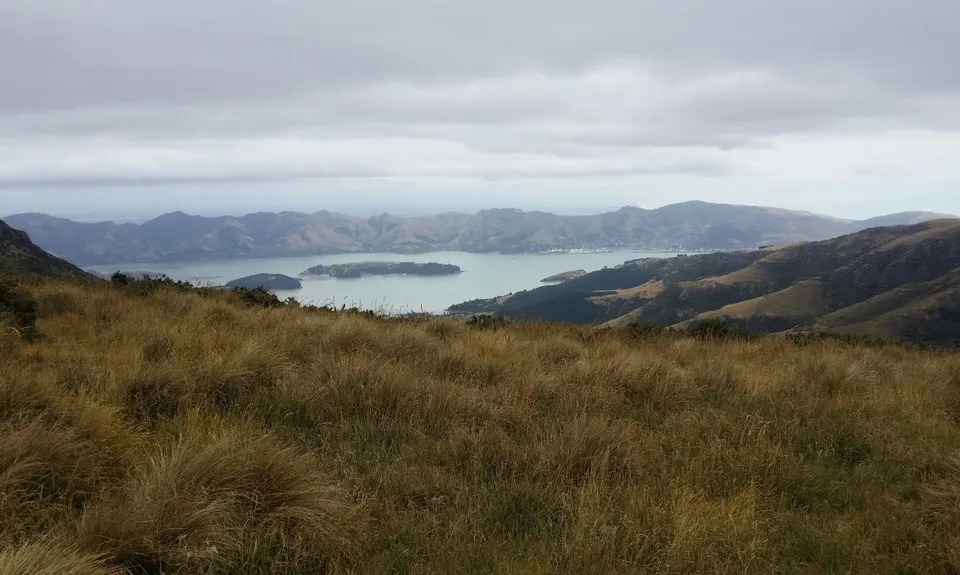 A Diamond in the Rough, Canterbury