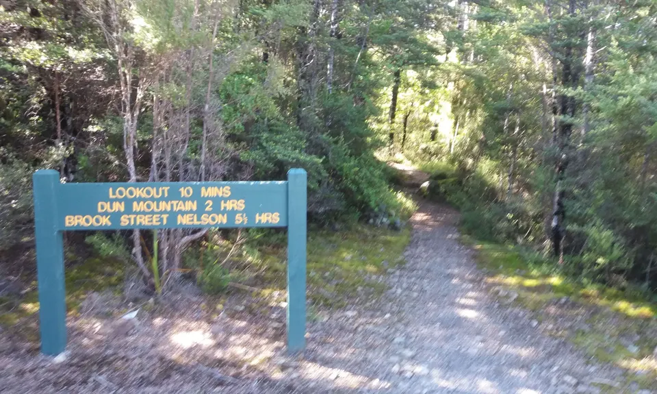 Dun Mountain Traverse, Nelson
