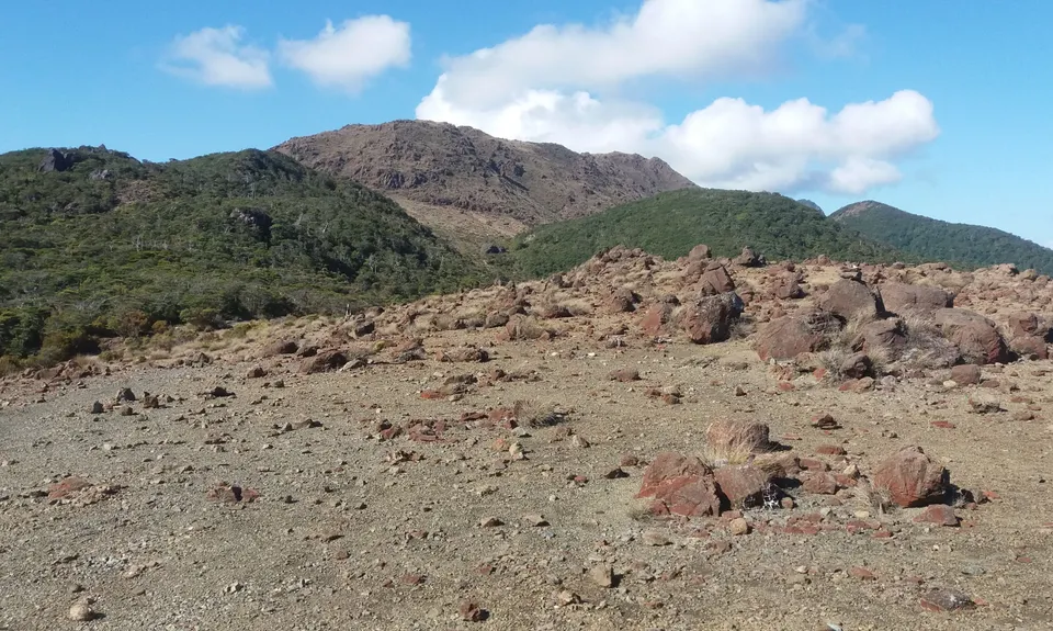 Dun Mountain Traverse, Nelson