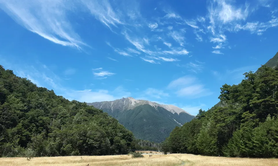Hopeless, Tasman