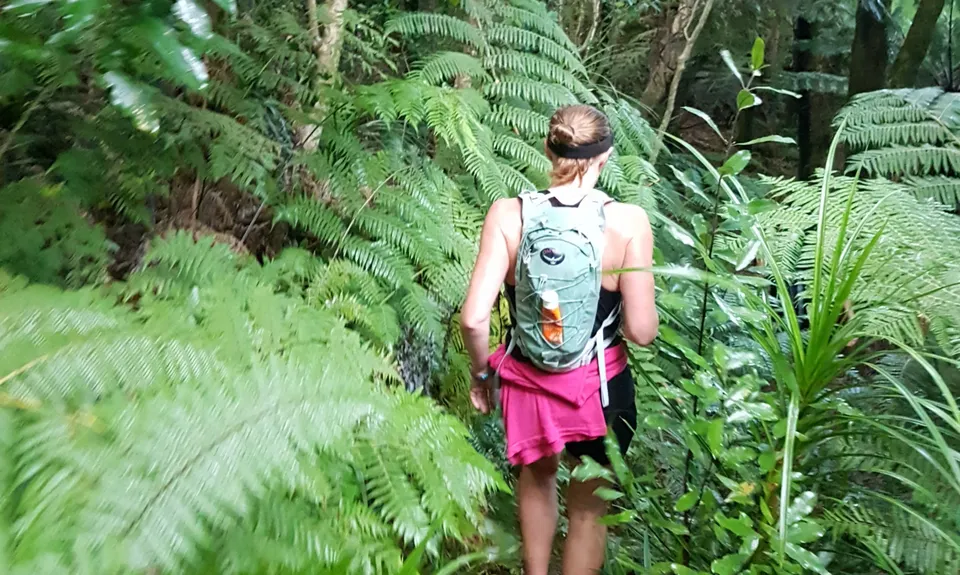 Abel Tasman Inland-Coastal Circuit, Tasman