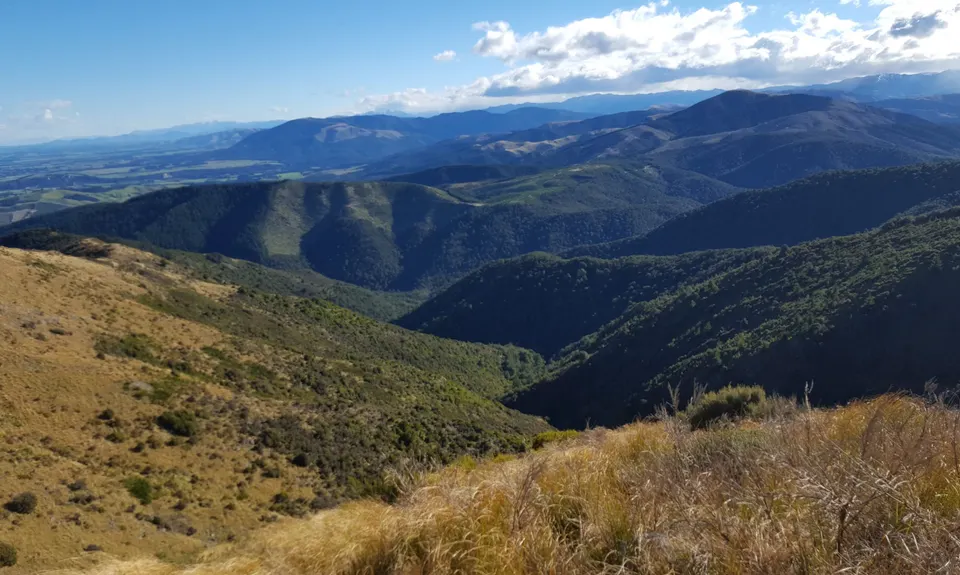 Mt Grey, Canterbury