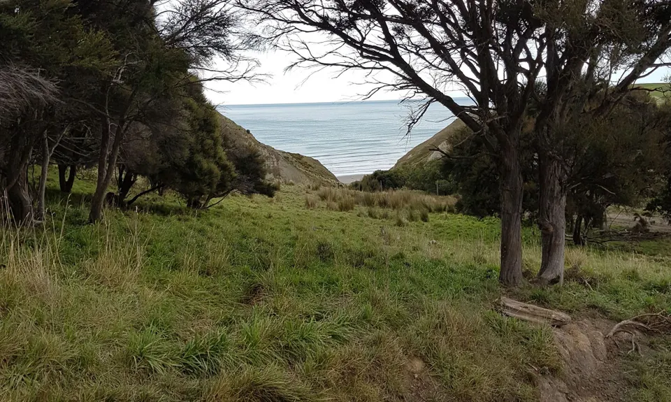 Tiromoana Track, Canterbury