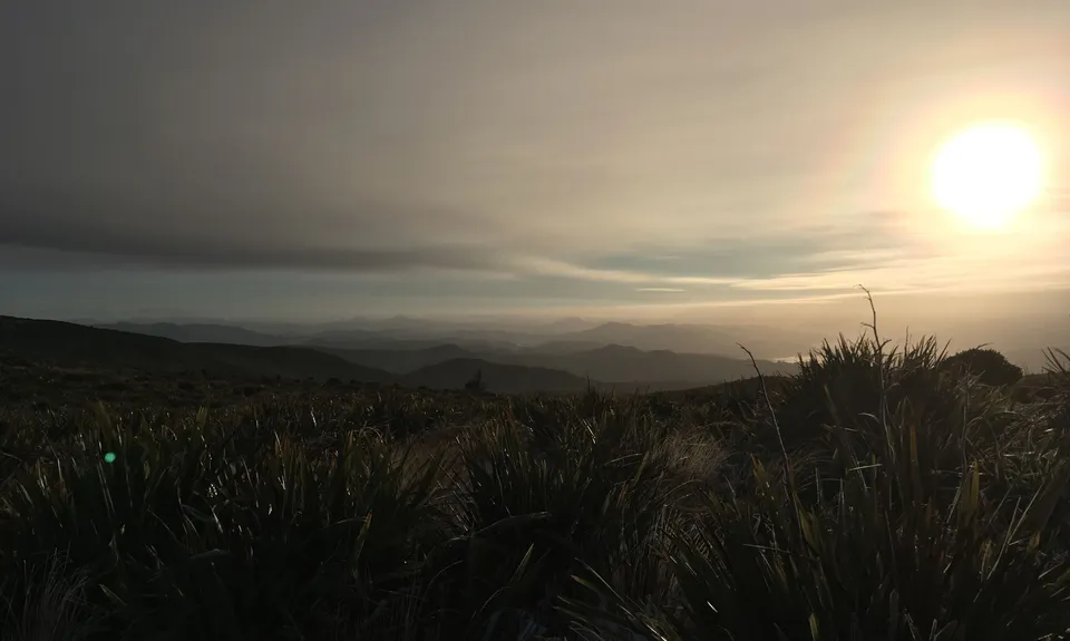 Slick and Quick Swampy, Otago