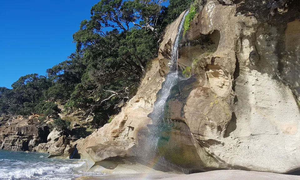 The Great OH Trail, Bay of Plenty