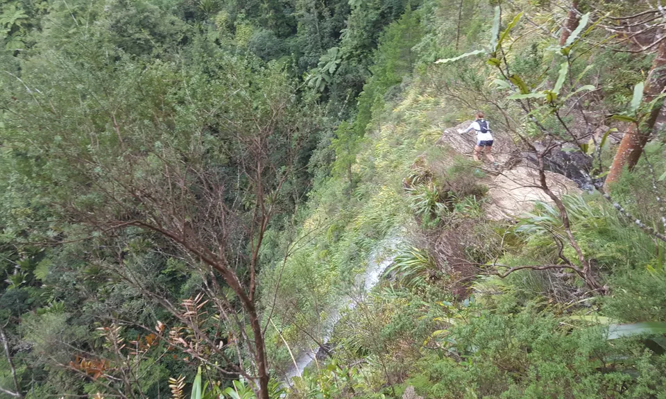 Ananui Falls, Bay of Plenty