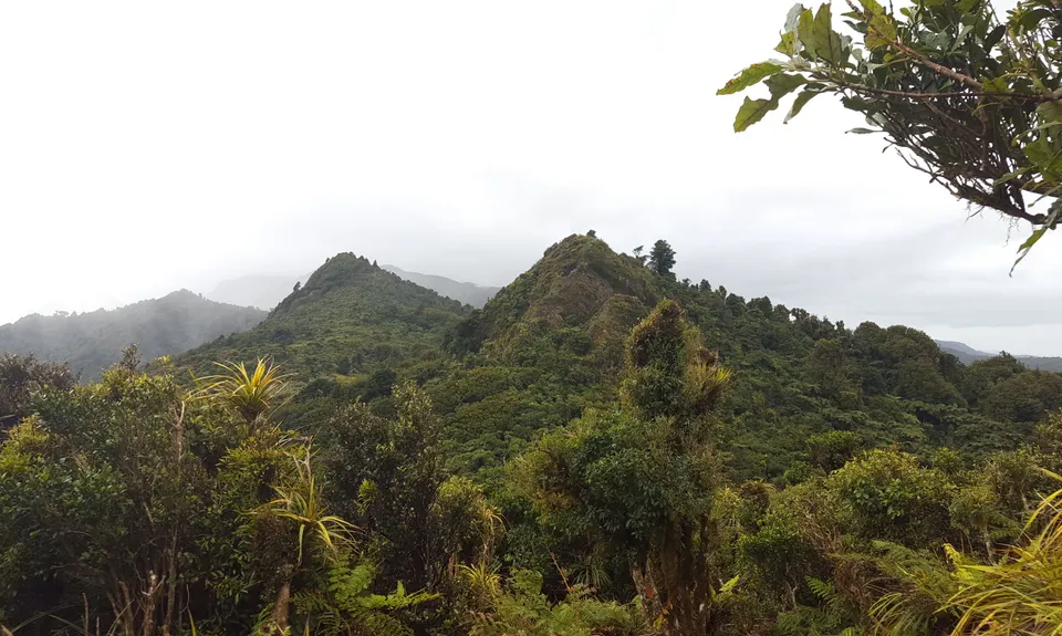 Tuahu Traverse, Bay of Plenty