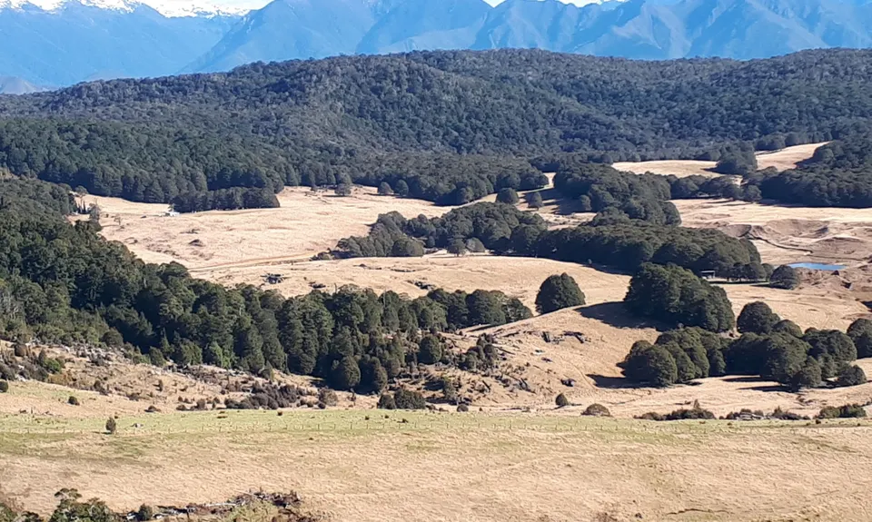Canaan Wainui Loop, Tasman