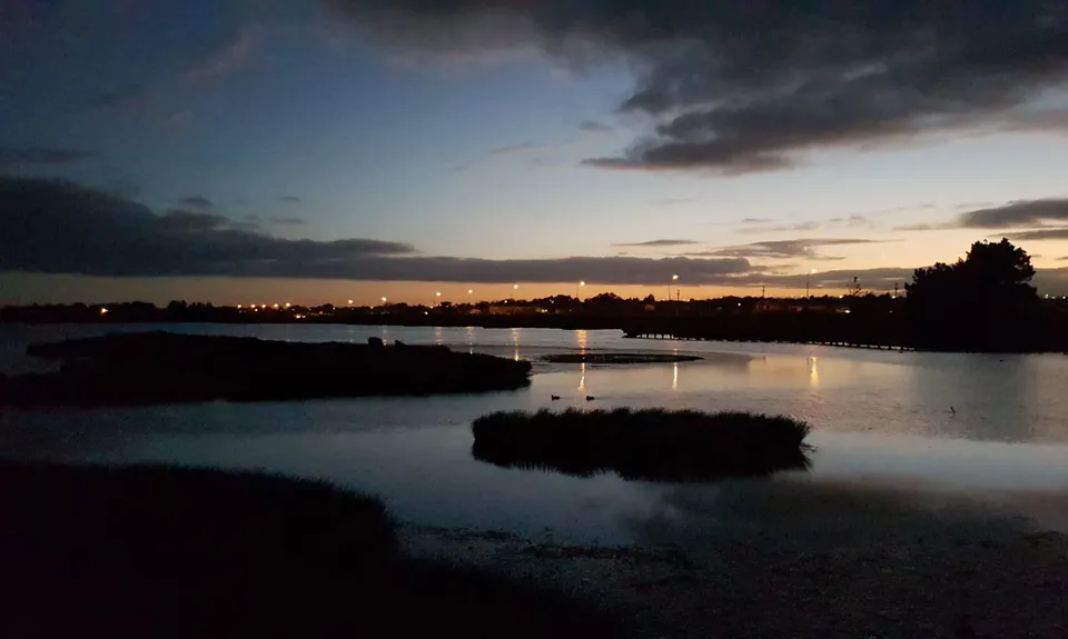 Invercargill to Awarua, Southland