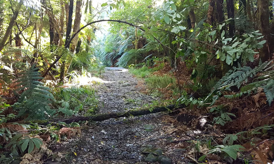 Waitawheta Tramway - Bogeys and Bluffs, Waikato